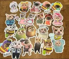 ねこステッカーかわいいステッカーまとめ売り