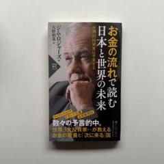 お金の流れで読む 日本と世界の未来 世界的投資家は予見する