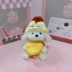 トイプードルバナナちゃん