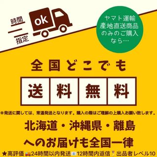 干し芋　茨城県産　訳あり　紅はるか　平干しB級　箱込み2kgx2個セット