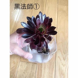 黒法師①
