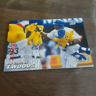 プロ野球チップスカード