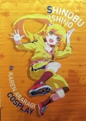 化物語 忍野忍B2タペストリー 火燐ver